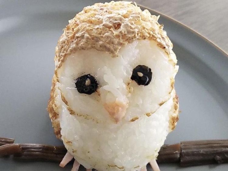 Gemas Banget! 10 Potret Onigiri 3D Berbentuk Hewan