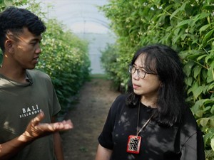 Pekerja Migran Indonesia di Inggris Jadi Pemetik Buah Tercepat Ketiga