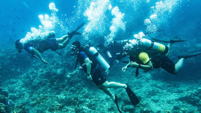 Hari Bahari Nasional bersamaan dengan Hari Maritim Nasional pada tanggal 23 September. Peringatan tersebut adalah upaya pelestarian laut di Indonesia.