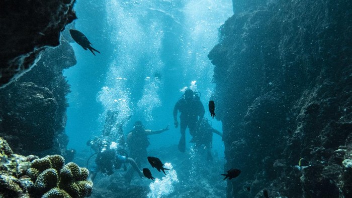 Hari Bahari Nasional bersamaan dengan Hari Maritim Nasional pada tanggal 23 September. Peringatan tersebut adalah upaya pelestarian laut di Indonesia.
