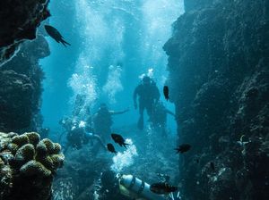 Laut RI Simpan Potensi Energi yang Bikin Melongo, Ini Datanya