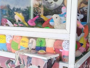 Banjir Dukungan untuk PCNU Purworejo soal Fatwa Haram Capit Boneka