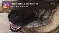 Reaksi apapun yang diberikan oleh Ashley Russell akan dibalas begitu manis oleh Adam Levine. Foto: Instagram Ashley Russell