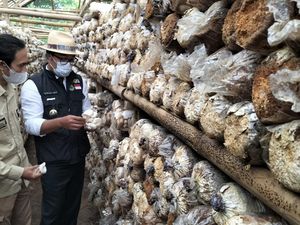 Petani Milenial Lampaui Target, Dishut Jabar Siap Gelar Pasar Leuweung