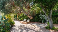 Rumah ini terletak di ujung jalan buntu dan dikelilingi oleh eucalyptus, yucca, dan agave biru di lebih dari tiga hektar pantai.Foto: Dok. Neue Focus for Sothebys International Realty