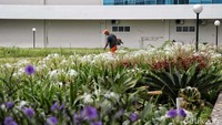 Selain itu ada juga taman yang nantinya akan dibuka buat umum.