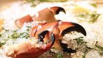 10 Hidangan Seafood Nyeleneh di Dunia, Berani Coba?