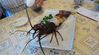 Wow! Lobster ini punya warna berbeda. Warnanya gelap dan dagingnya juga terlihat sangat tebal. Hidangan ini juga mentah loh. Foto: allthatsinteresting.com