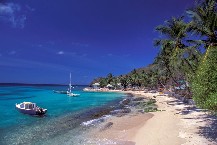 North America, West Indies, Lesser Antilles, Caribbean, Island in Saint Vincent and the Grenadines, Mustique,. (Photo by: Dukas/Universal Images Group via Getty Images)
