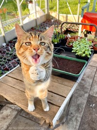2022 Comedy Pet Photo Awards