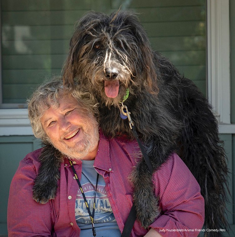 2022 Comedy Pet Photo Awards