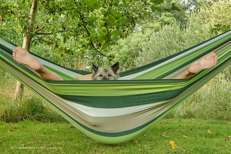 2022 Comedy Pet Photo Awards