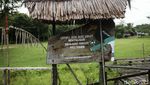 Ada Ritual Cuci Tengkorak di Rumah Adat Sibujit