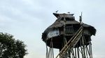Ada Ritual Cuci Tengkorak di Rumah Adat Sibujit