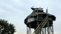 Nyobeng berasal dari kata Nibakng yang merupakan ritual adat ucapan syukur atas panen berlimpah dan juga ritual memandikan kepala hasil ngayau (memotong kepala musuh) dulu.
