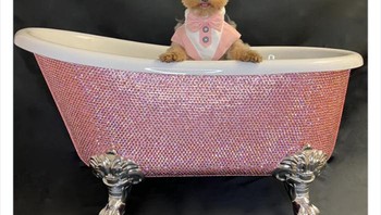 Bathup untuk anjing ini berlapis berlian, harganya mencekik leher. Foto: Bored Panda