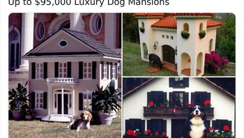 Rumah untuk anjing yang hanya bisa dibeli para miliarder. Foto: Bored Panda