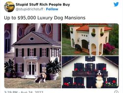 Potret Barang Remeh Super Mahal, Cuma Buat Orang Kaya Raya