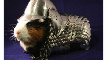 Stupid Stuff Rich People Buy adalah sebuah akun yang memajang barang-barang yang seharusnya murah tapi jadi sangat mahal karena merek atau bahannya dan hanya cocok untuk orang super kaya. Ini baju untuk hamster yang begitu mahal. Foto: Bored Panda
