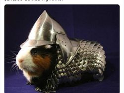 Potret Barang Remeh Super Mahal, Cuma Buat Orang Kaya Raya