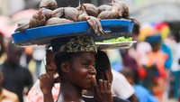 Seorang gadis membawa siput alias bekicot untuk dijual di pasar Adjame di Abidjan, Pantai Gading, Kamis, (15/9/2022). Bekicot Afrika, adalah jenis bekicot raksasa yang dagingnya sangat berharga di Pantai Gading. Populasi di habitatnya pun kian menipis karena banyak diburu hingga penebangan hutan.
