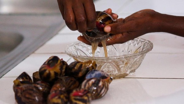 Wow! Di Negara Ini Harga Bekicot Lebih Mahal dari Daging Sapi