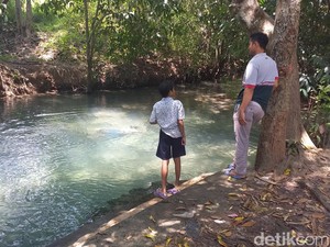 Tradisi Warga Desa Pocong, Rokat di 3 Sumber Mata Air