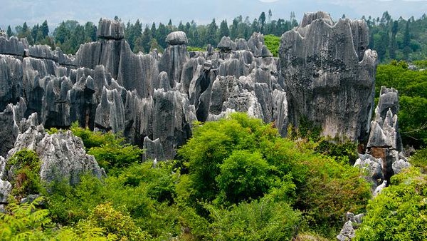 Lokasi Hutan Batu itu terletak di daerah otonomi Lunan Yi, sekitar 120 kilometer dari Kunming. Luas area Hutan Batu tersebut kurang lebih 400 kilometer persegi, termasuk hutan batu berukuran besar dan kecil. 