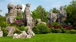 Eksotika Hutan Batu di Dataran China yang Memukau