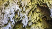 Turis dibatasi masuk ke dalam gua karena taman nasional tidak ingin mengambil risiko untuk orang-orang yang nekat menuju lokasi 13 orang yang terjebak tahun 2018. Ya, peristiwa itu menjadi perhatian dunia. Sebanyak 12 remaja dan seorang asisten pelatih klub sepak bola kampung di Thailand terjebak di dalam gua itu selama 13 hari. Aksi penyelamata sampai makan korban. Elon Musk juga turut ambil bagian. 