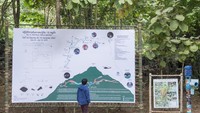 Di mulut gua turis bisa menemukan mural yang mengambarkan penyelamatan tim sepakbola junior lokal Wild Boars ini. Juga ada peta, bagian terowongan yang dibuat ulang dan patung mantan Angkatan Laut Thailand Saman Kunan yang gugur selama misi. Di sana juga ada juga kios makanan ringan dan kuil Buddha.