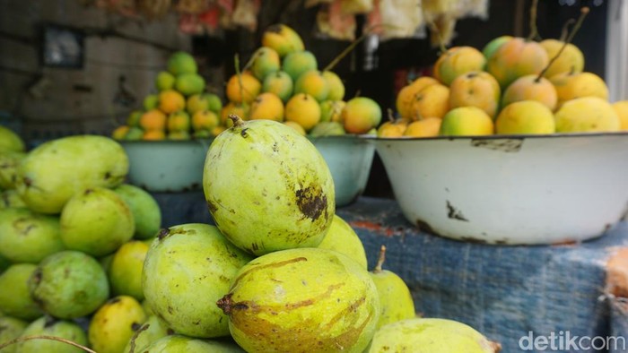 Indramayu dikenal dengan Kota Mangga. Ada keberagaman varietas mangga di Indramayu yang terkenal.