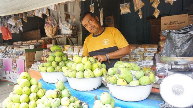 Indramayu dikenal dengan Kota Mangga. Ada keberagaman varietas mangga di Indramayu yang terkenal.