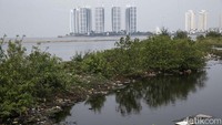 Sebelumnya Gubernur DKI Jakarta Anies Baswedan menetapkan kawasan reklamasi Pulau G sebagai zona ambang.