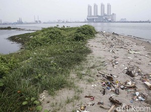 Menginjakkan Kaki di Reklamasi Pulau G yang Ditetapkan Anies Jadi Permukiman