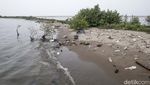 Kondisi Terkini Pulau G yang Ditetapkan Anies Jadi Pemukiman