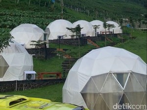 Info Lengkap Rute, Harga, dan Fasilitas Glamping Seru di Lembah Indah Malang