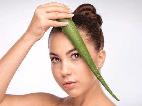 Manfaat Lidah Buaya untuk Rambut