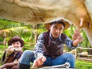 Wisata Cimory On The Valley Semarang, Jam Buka dan Harga Tiket Masuknya