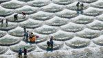 Penghalang Arus di China Bentuknya Sisik Ikan, Cocok Buat Foto-foto