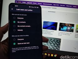 Cara Menyembunyikan Status Online Resmi dari WhatsApp