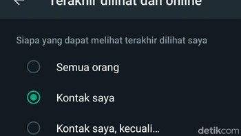 Di bagian atas halaman Privasi, kalian akan melihat opsi Terakhir dilihat dan online. Pilih opsi tersebut untuk mengubah pengaturan Terakhir dilihat atau Last seen dan status online. Foto: Virgina Maulita Putri/detikinet