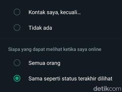 Cara Menyembunyikan Status Online Resmi dari WhatsApp