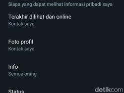 Cara Menyembunyikan Status Online Resmi dari WhatsApp