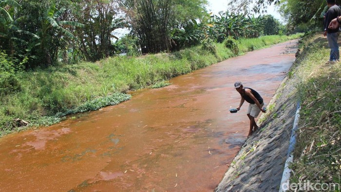 sungai mojoranu berwarna merah darah