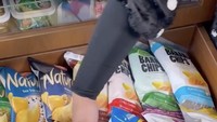 Stok camilan keripik kentang Tasyi juga bikin ngiler nih! Ia pilih berbagai merek impor dengan aneka bumbu yang puaskan selera.