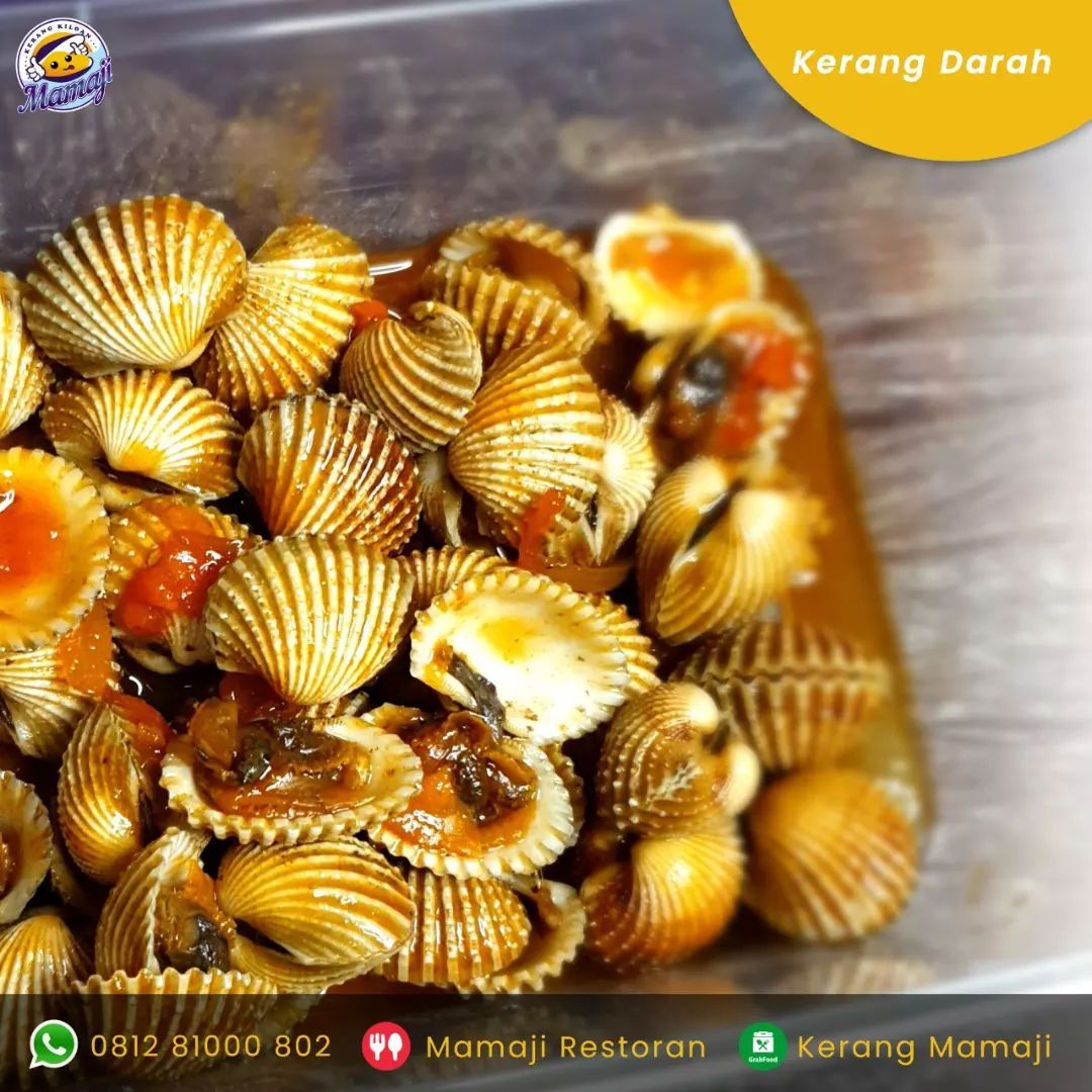 Tempat makan kerang kiloan