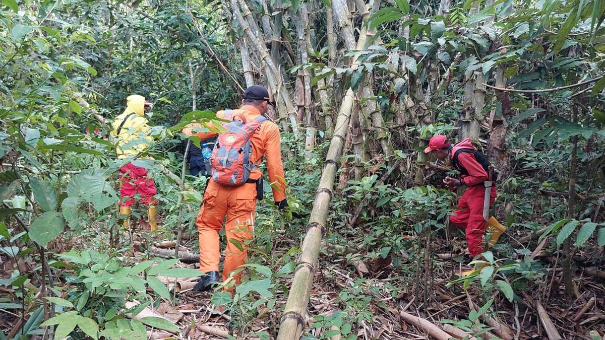 Lansia di Kukar 5 Hari Hilang di Hutan, Tim SAR Sisir Lokasi hingga 40 Km