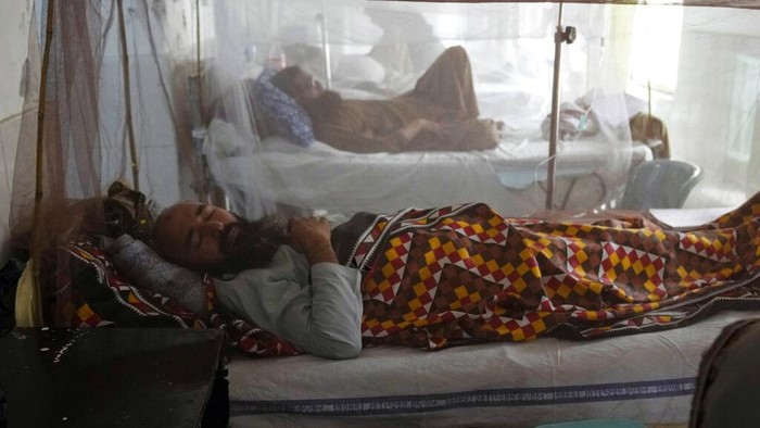 Pakistani patients suffering from dengue fever, a mosquito-borne disease, are treated in an isolation ward, at a hospital in Lahore, Pakistan, Friday, Sept. 23, 2022.  Pakistan has deployed thousands of additional doctors and paramedics in the country's worst flood-hit province to contain the spread of diseases that have killed over 300 people among the flood victims, officials said Friday. (AP Photo/K.M. Chaudary)
