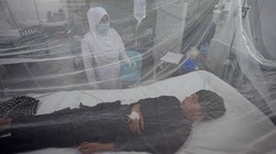Sejumlah warga pakistan menderita penyakit demam berdarah. Penyakit ini disebabkan gigitan nyamuk yang mulai merajalela akibat banjir yang parah.